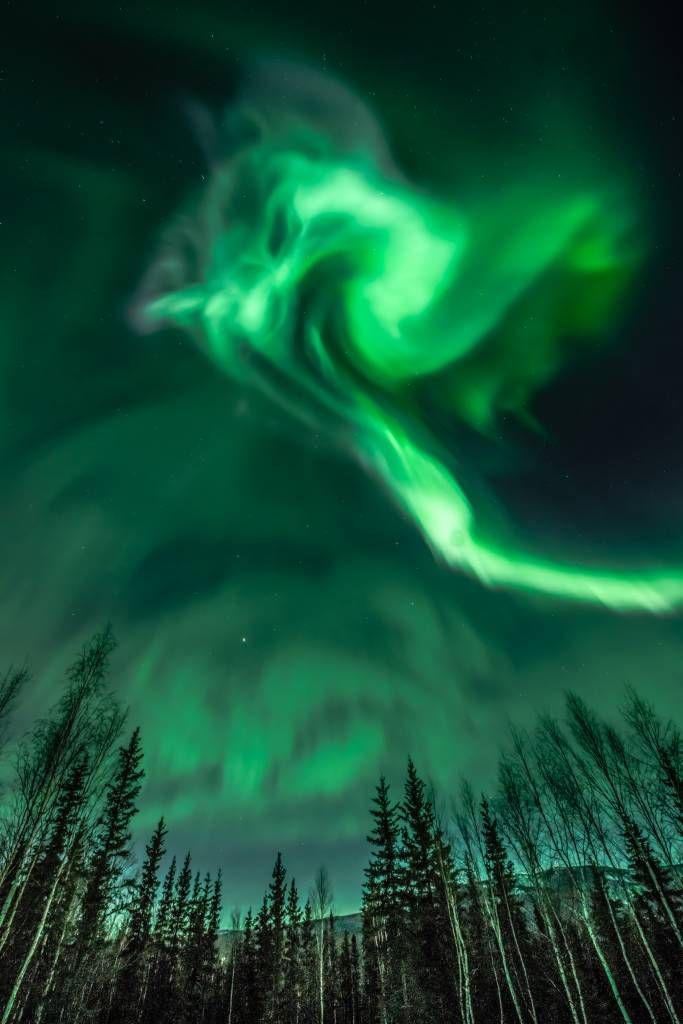 W01534