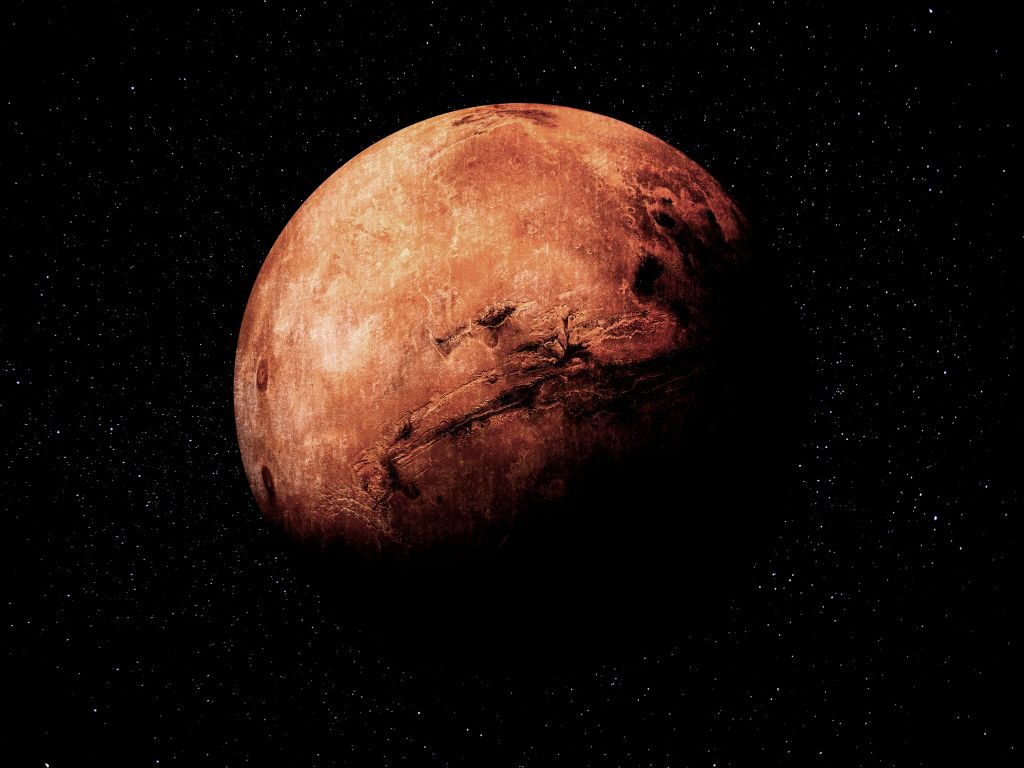 W08555
