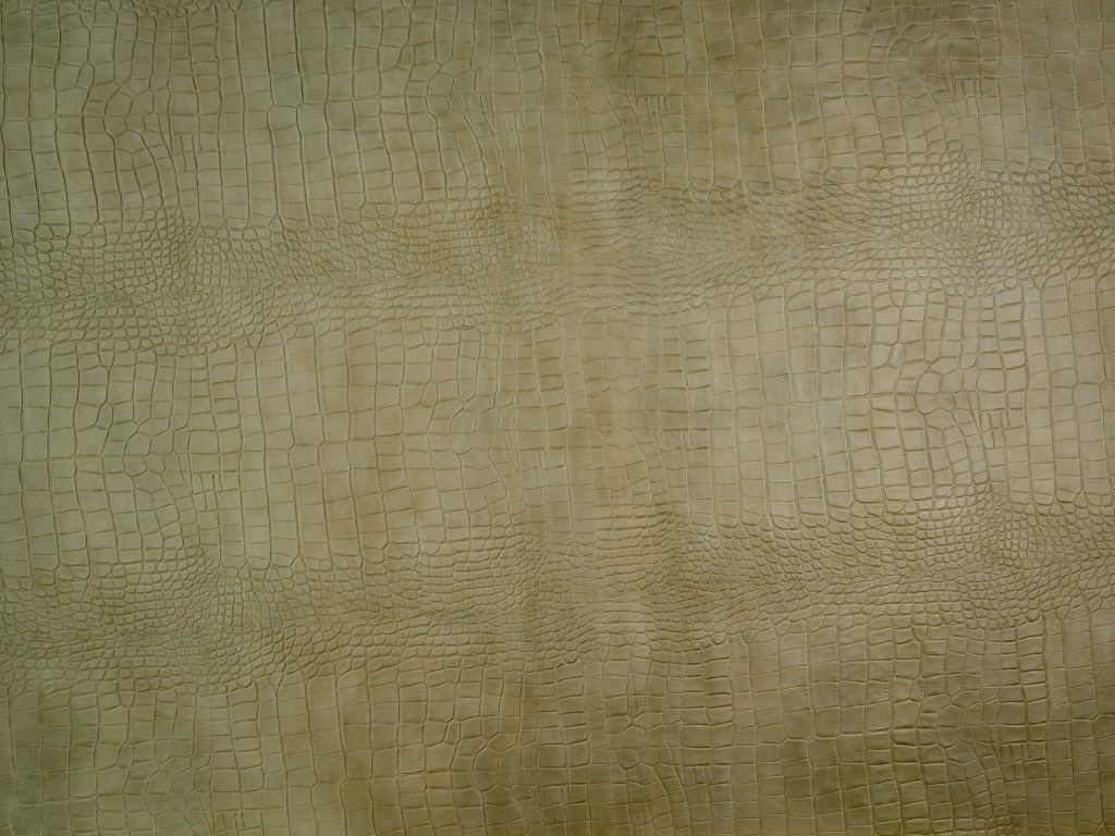 W10016