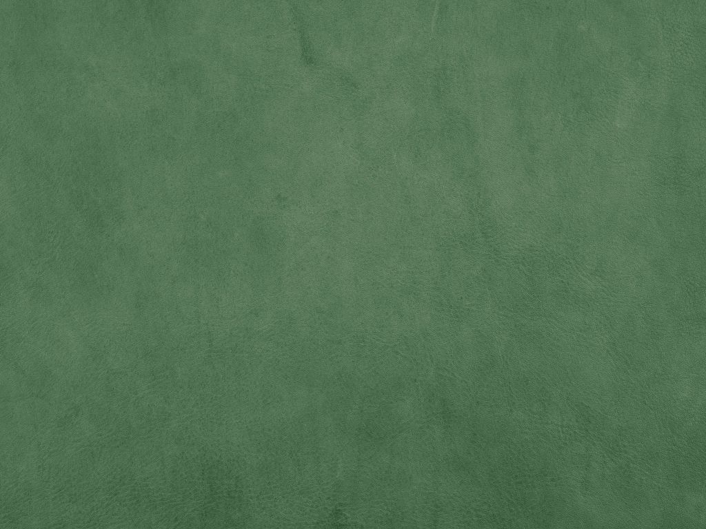 W10028