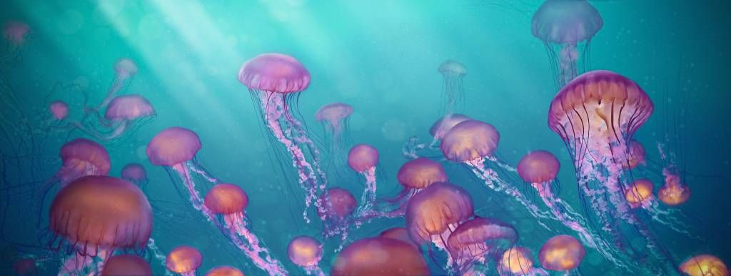 Aquatic Animals - Roze kwallen in blauwe zee - Slaapkamer