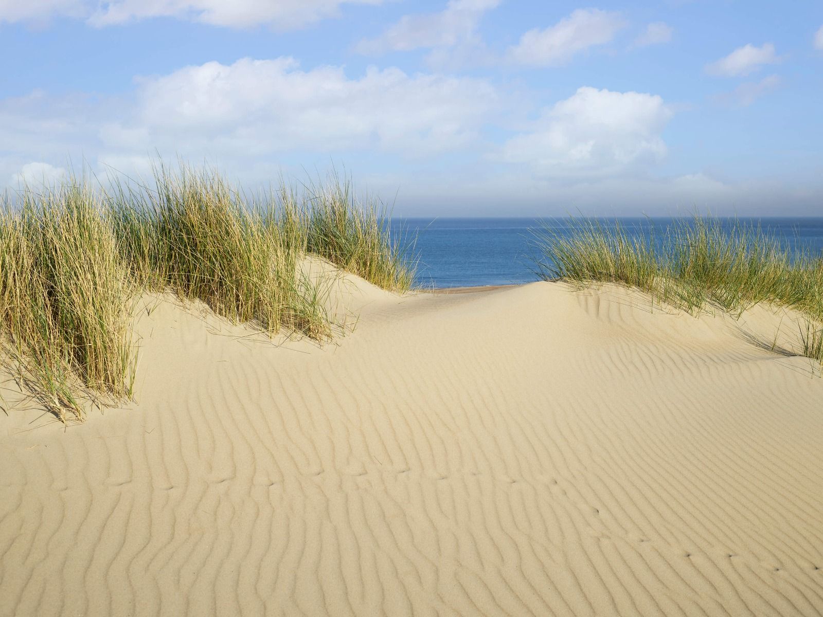 Beach Wallpaper - Duin doorgang naar het strand - Woonkamer Beach Wallpaper - Duin doorgang naar het strand - Woonkamer