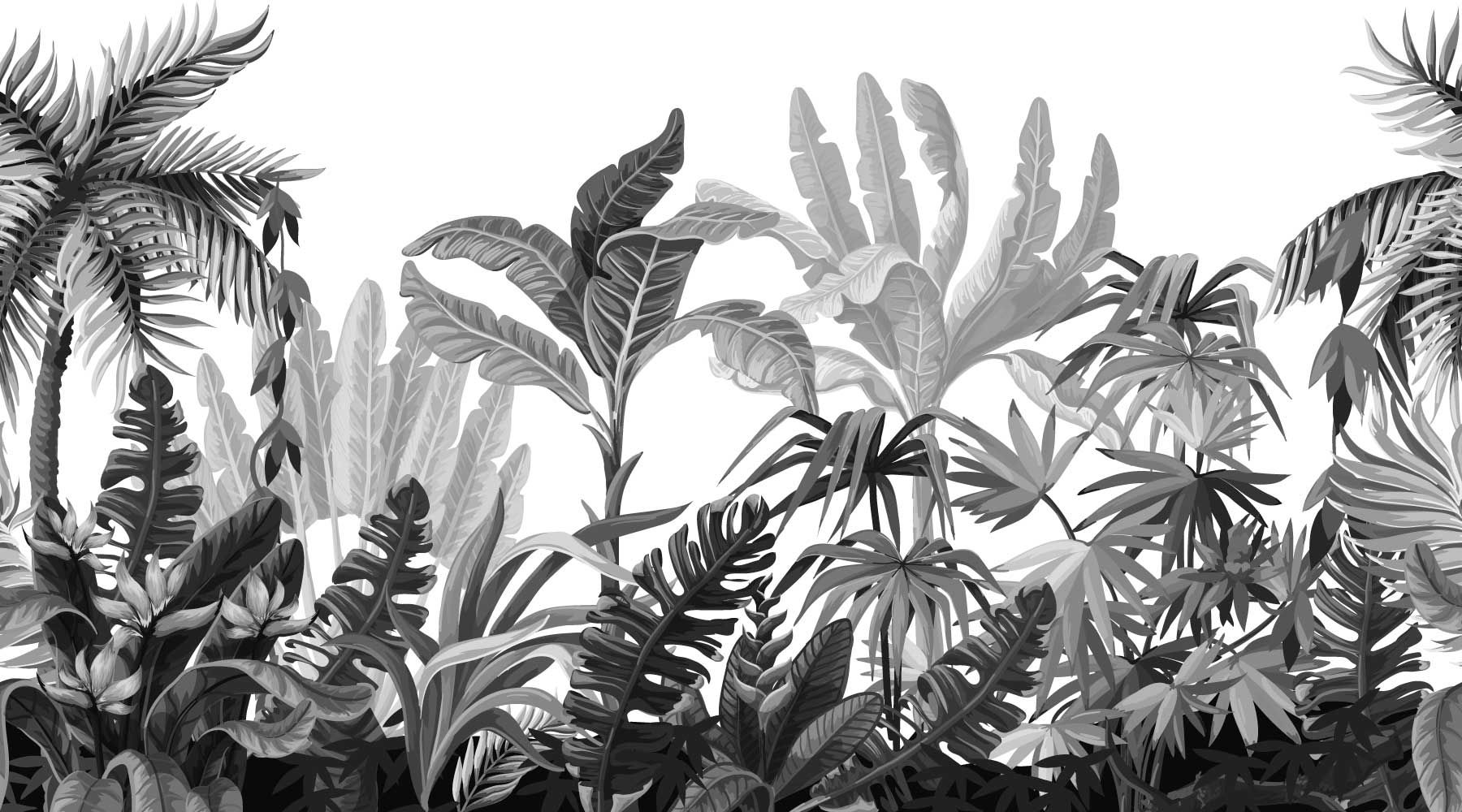 Jungle W03086 Jungle W03086