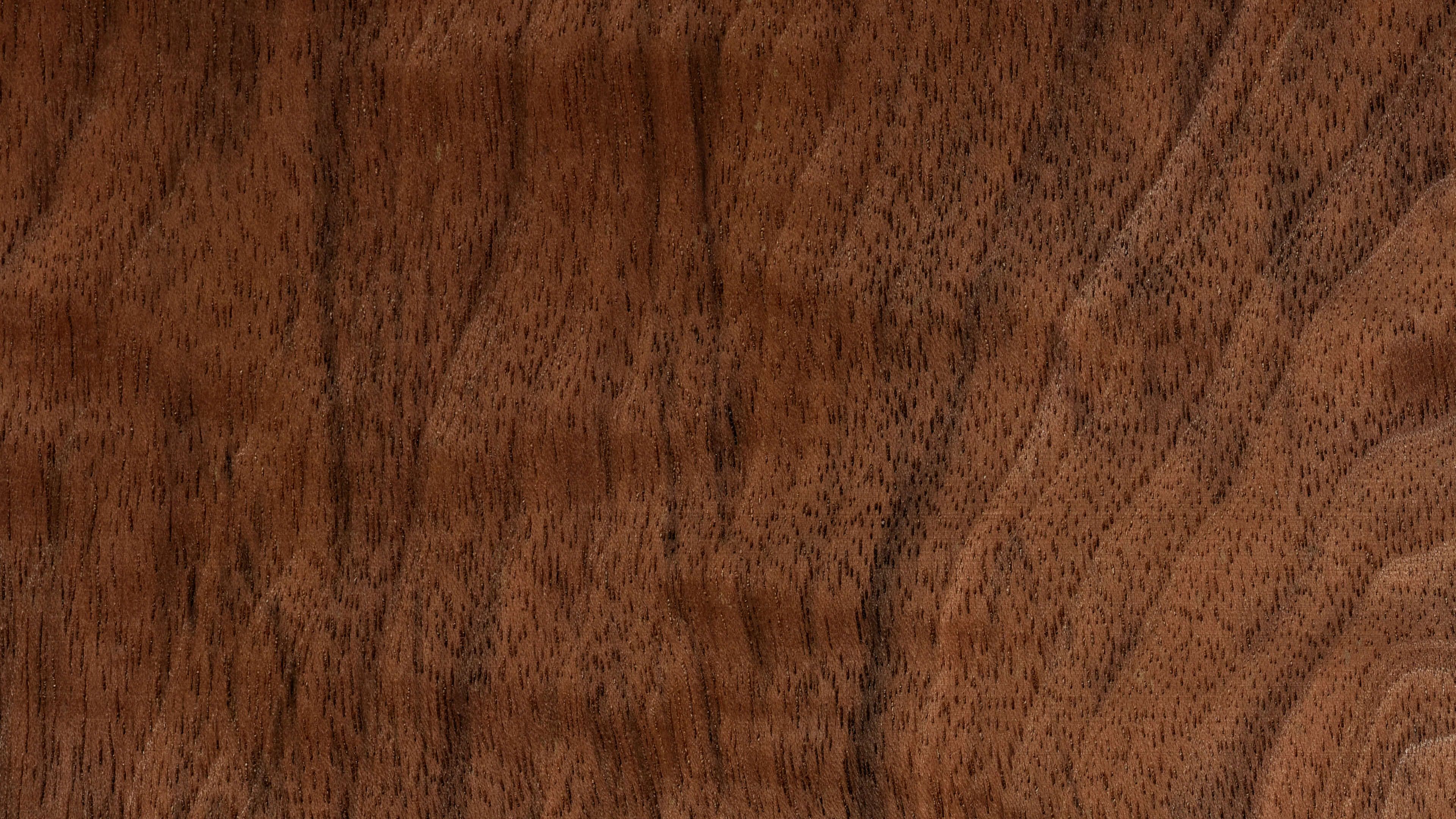 W05535