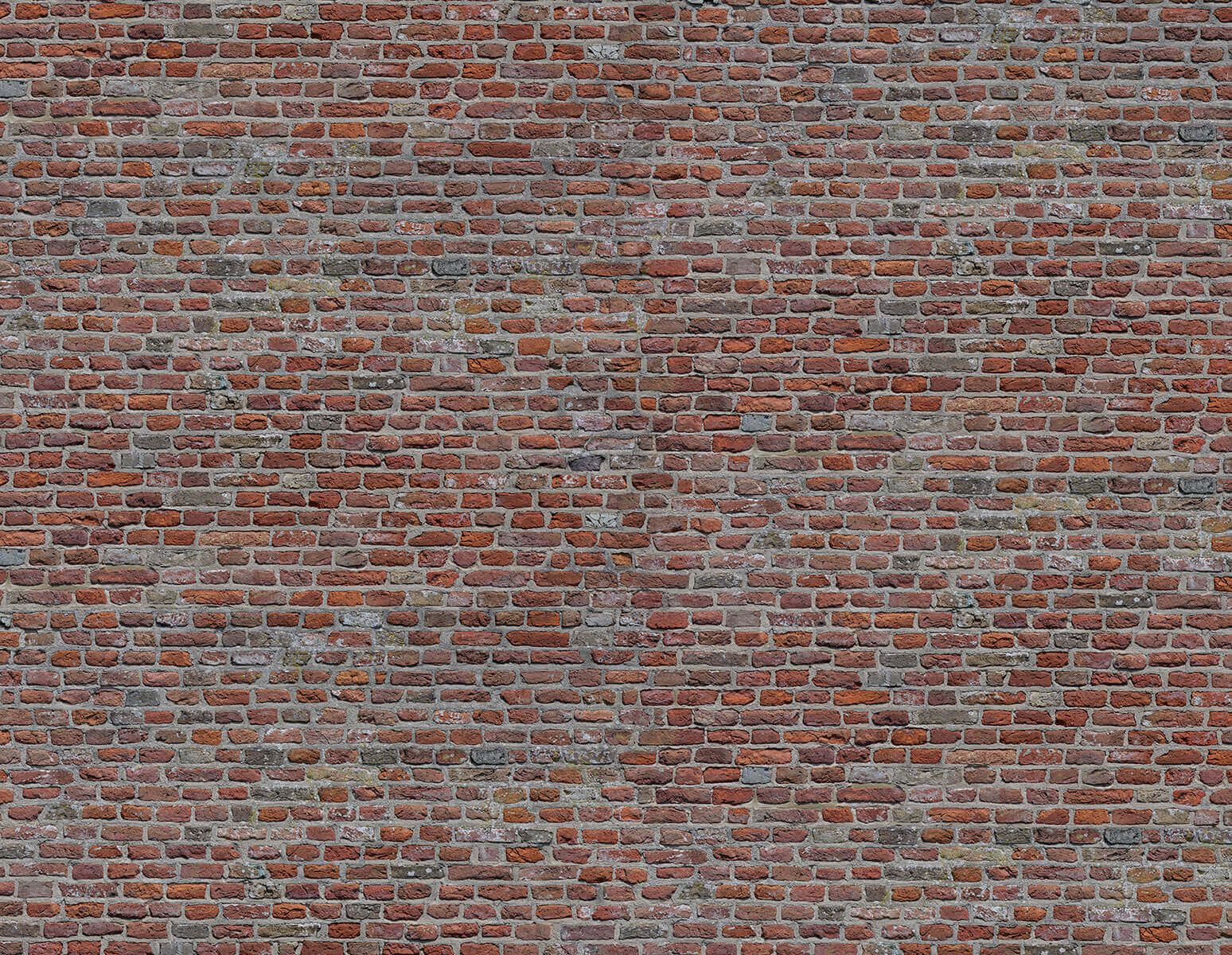W01794