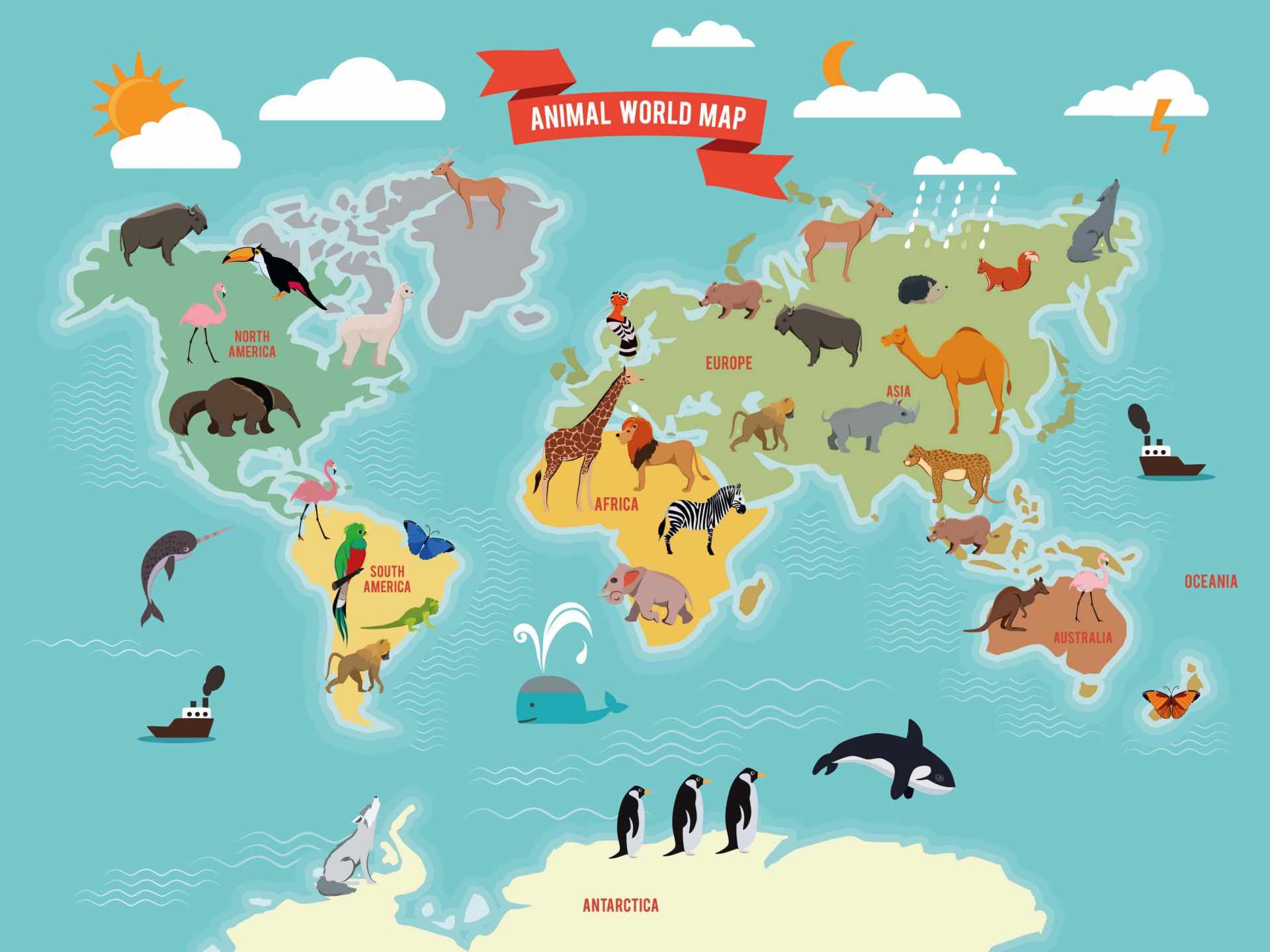 Dieren wereldkaart