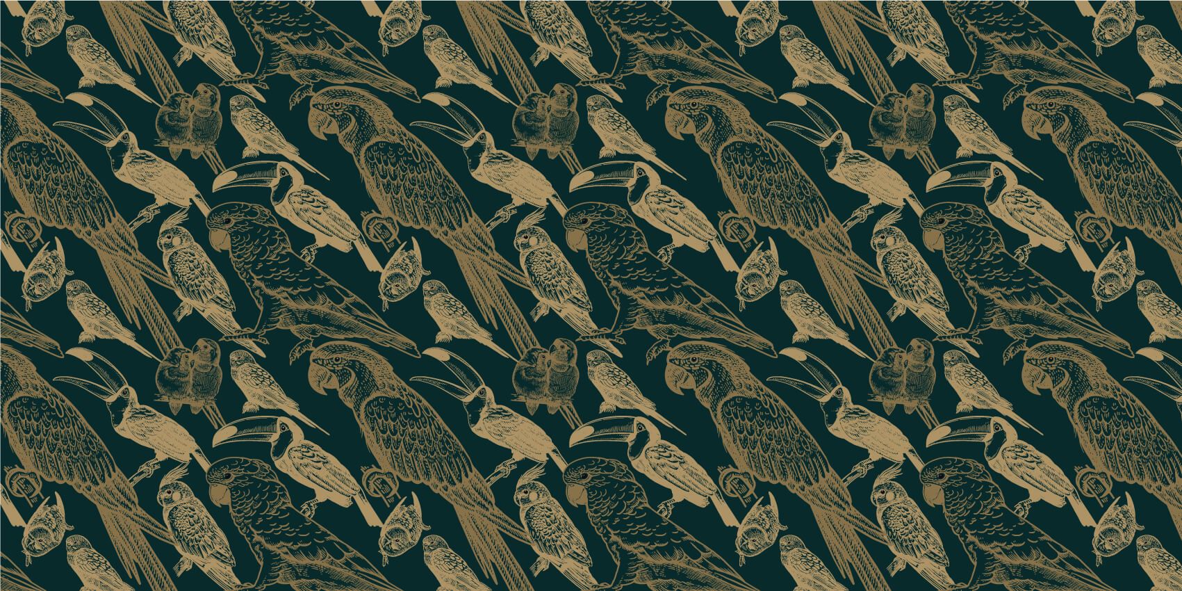 W04081