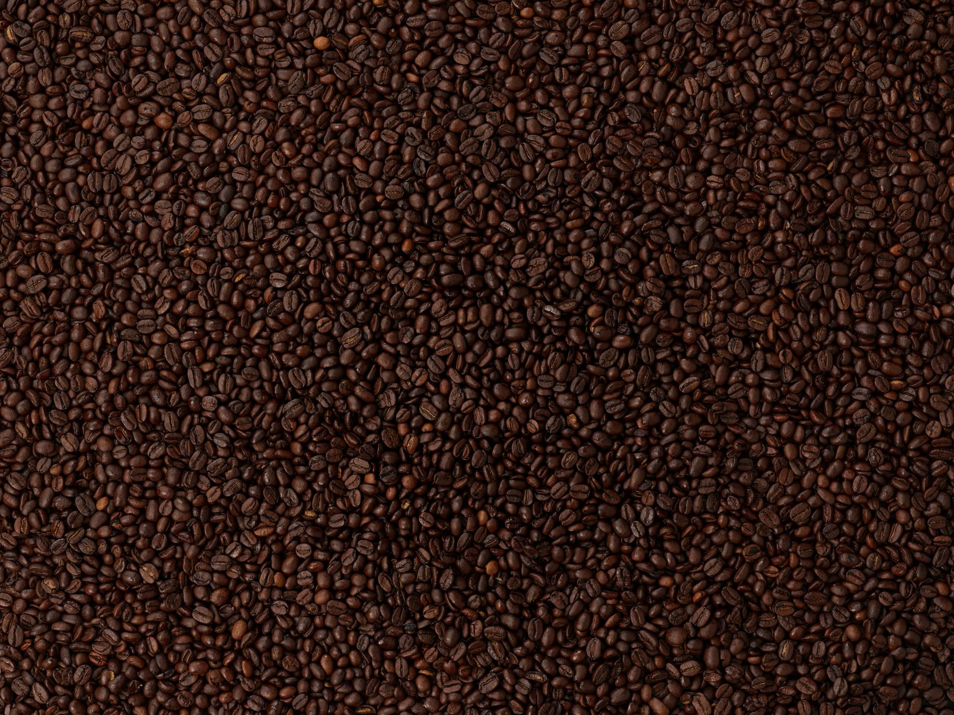 W04593