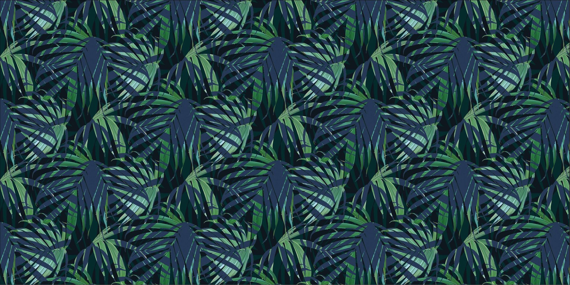 W05009
