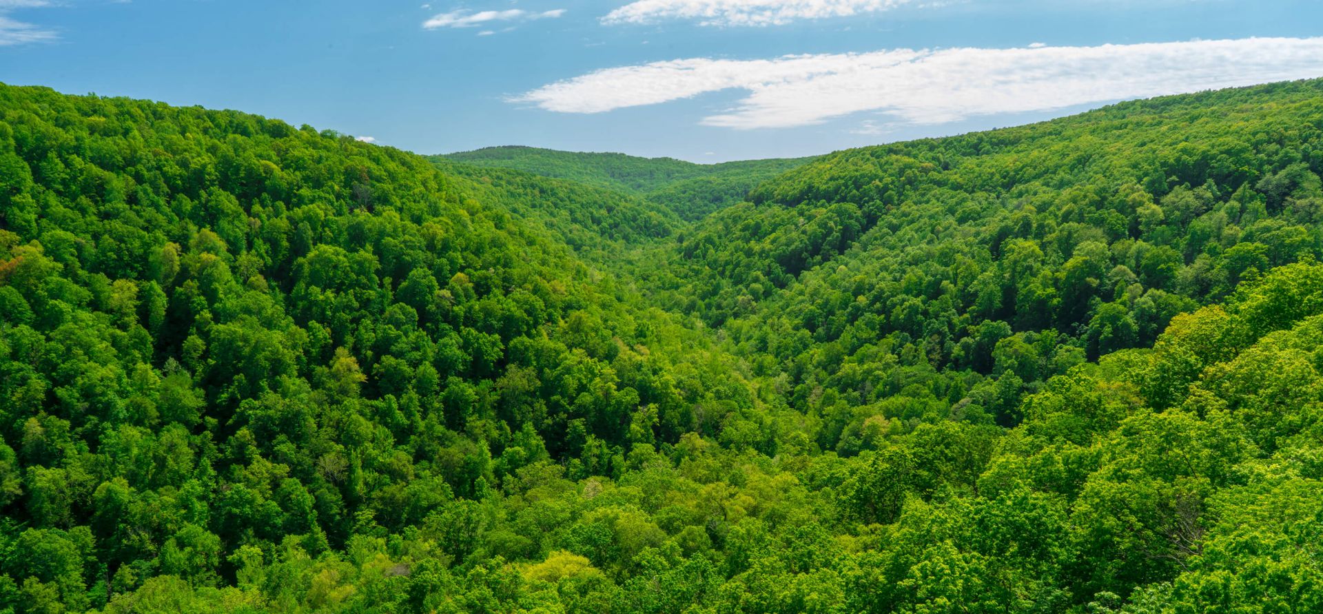 Whitaker Point 