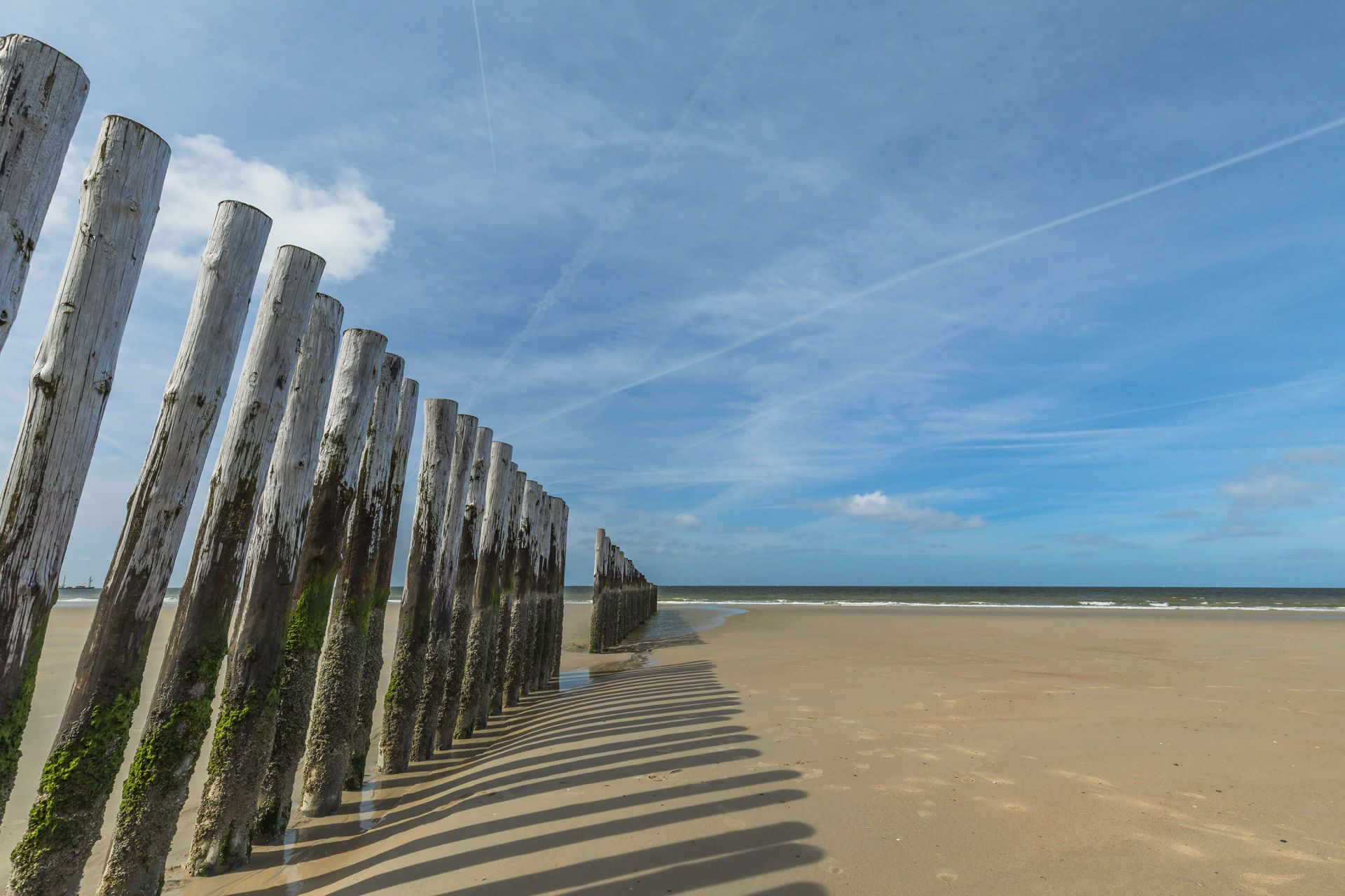 Paalhoofden in de Noordzee