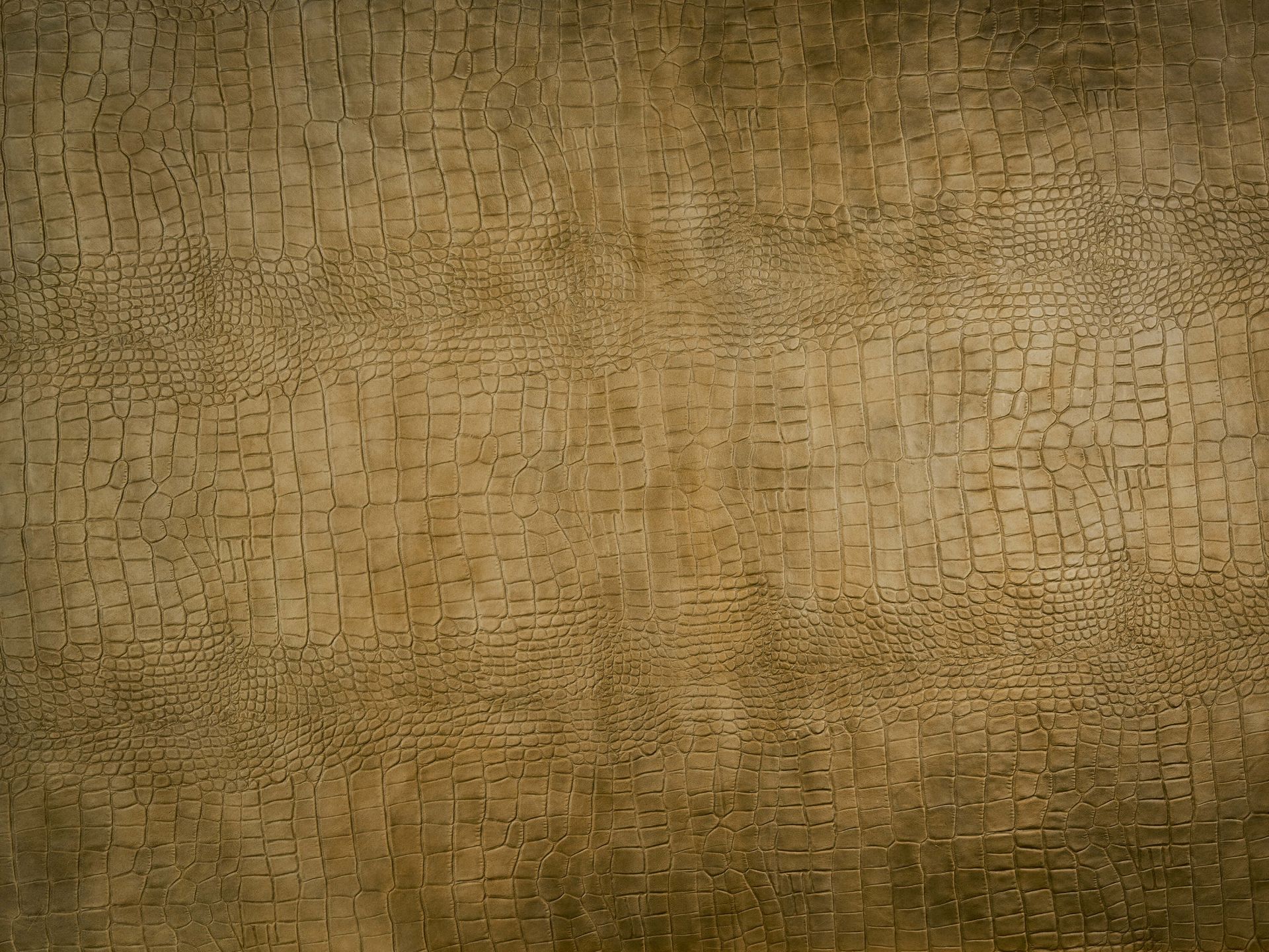 W10017