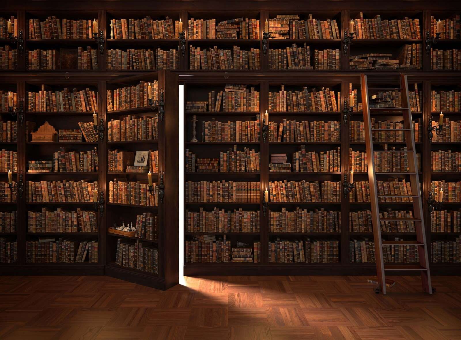 Geheime Bibliotheek met Verborgen Deur