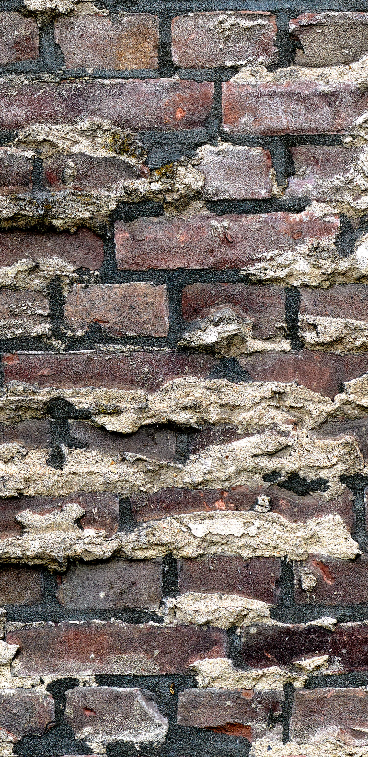 Detailed Image 2 Detailed Image 2