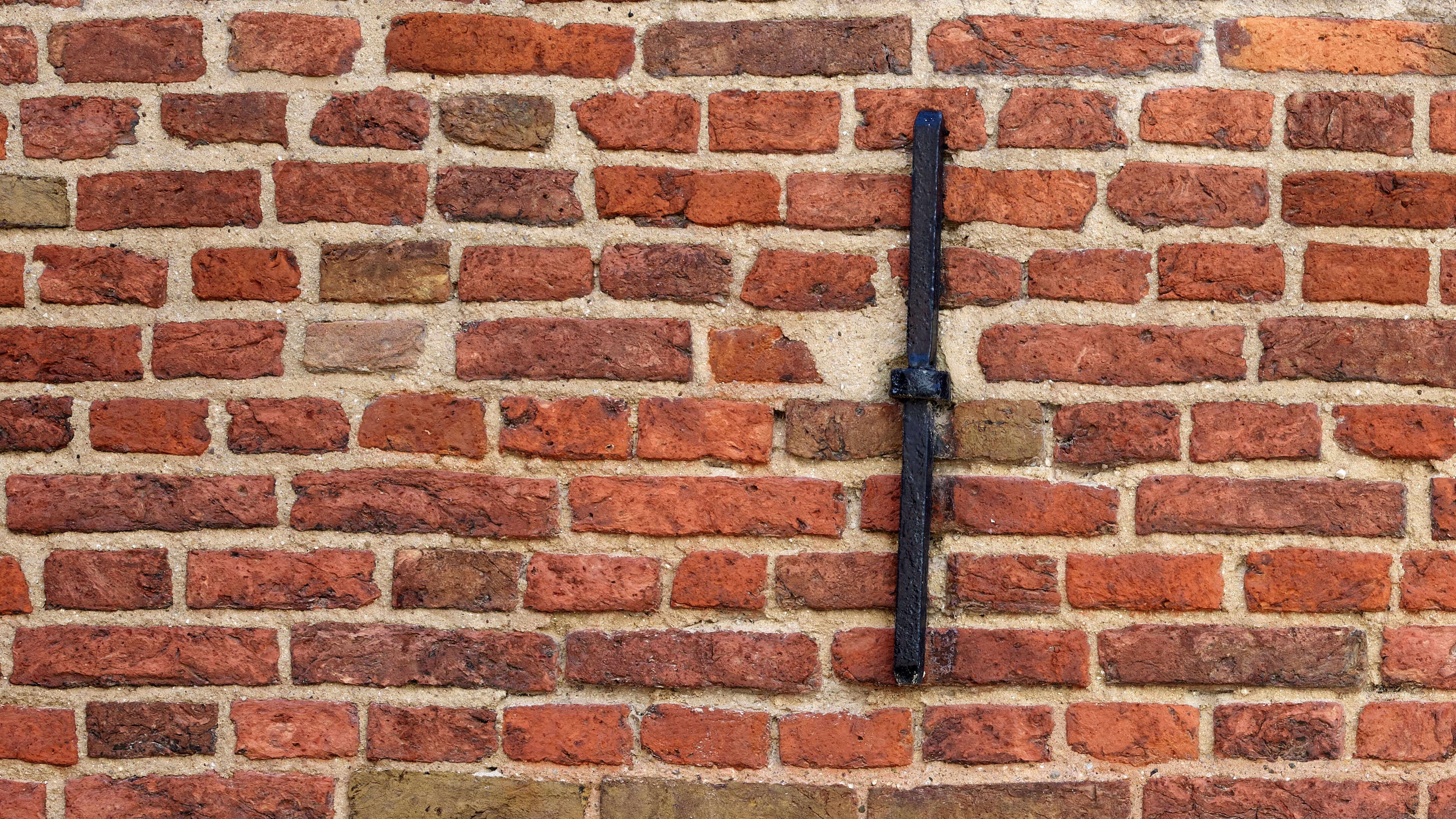 Detailed Image Detailed Image