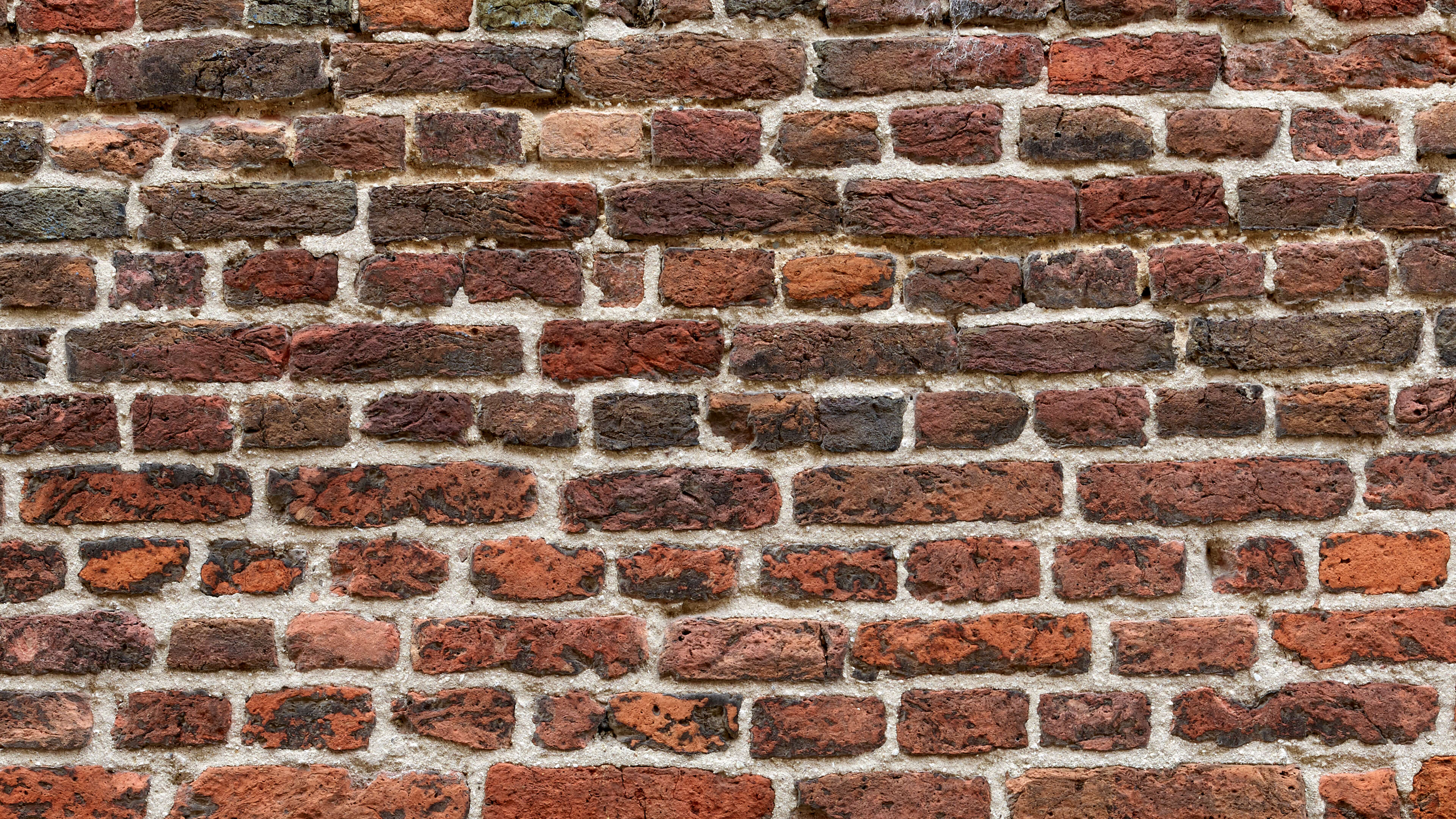 Detailed Image Detailed Image