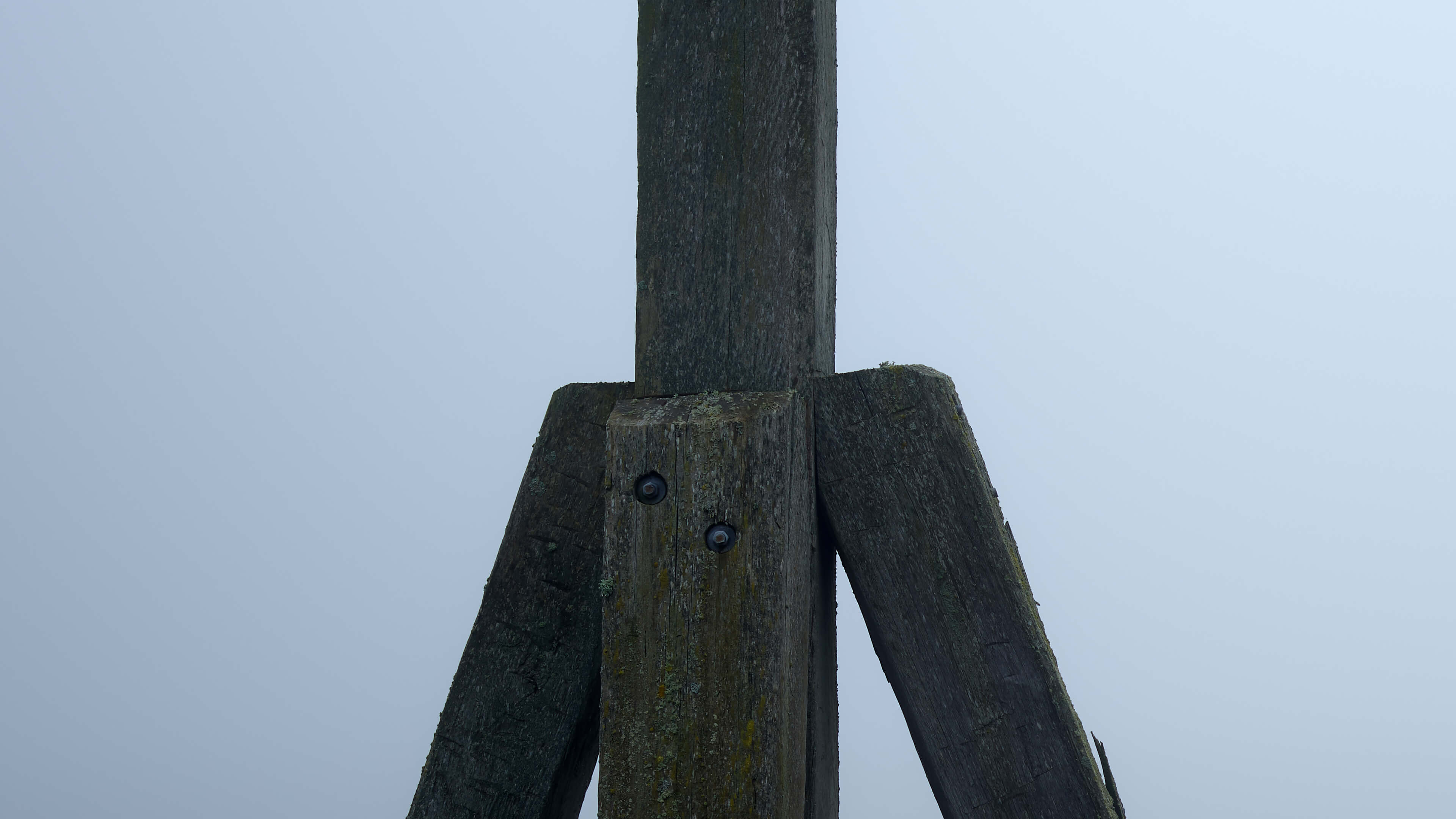 Detailed Image Detailed Image
