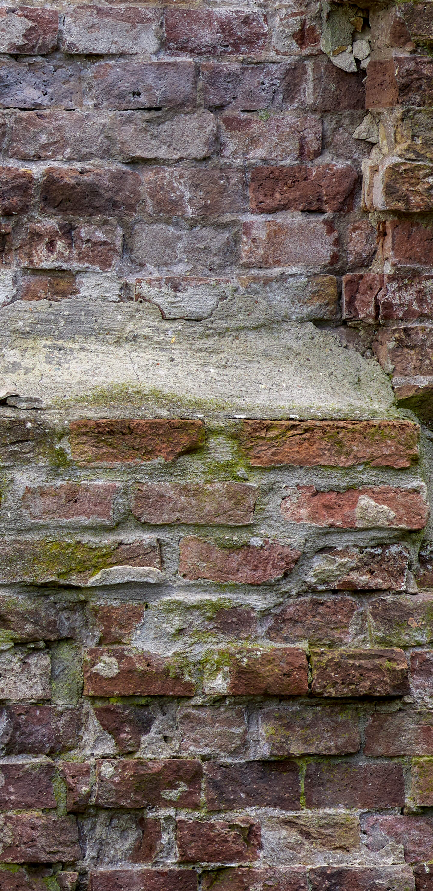 Detailed Image 2 Detailed Image 2