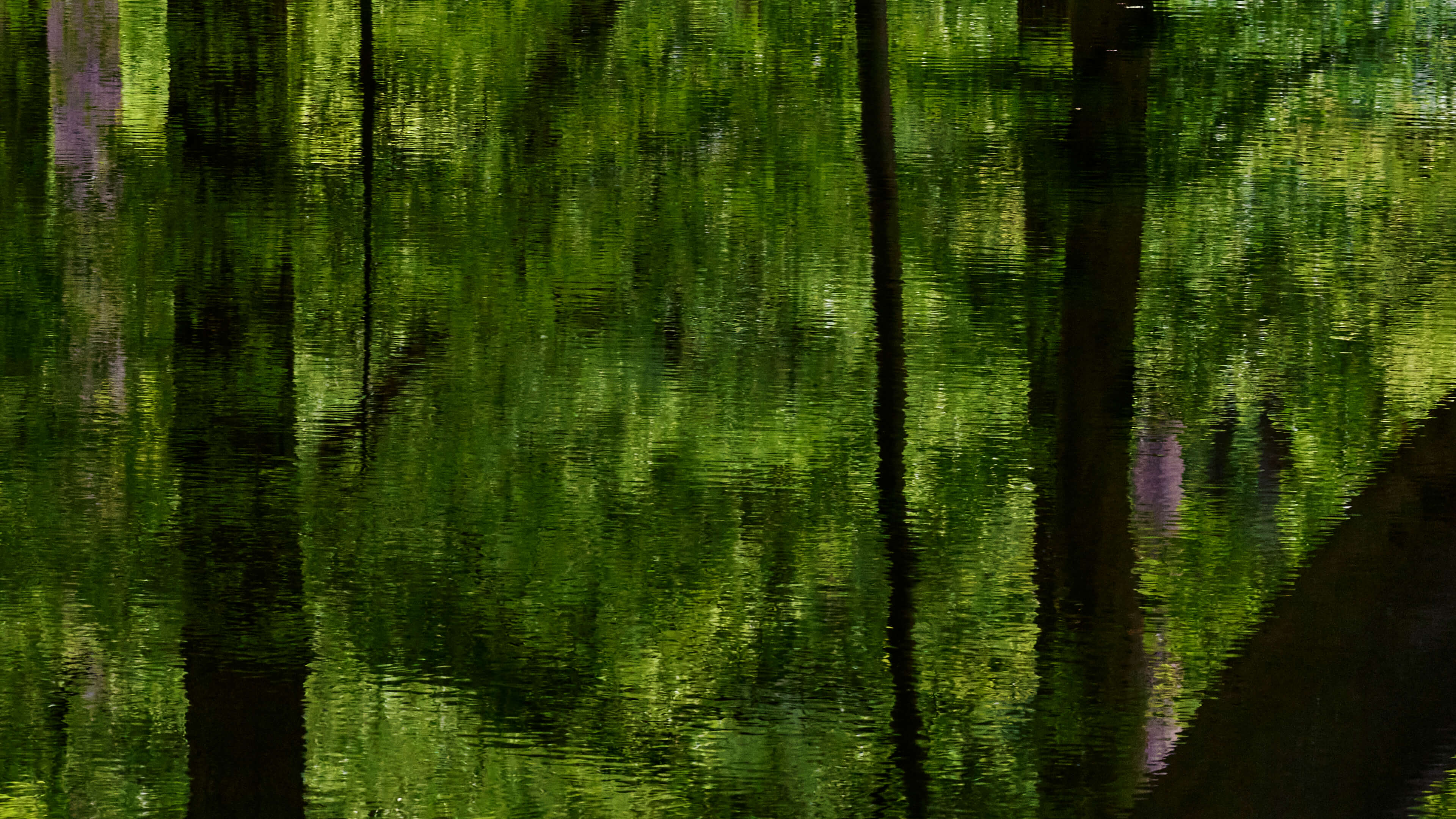 Detailed Image 2 Detailed Image 2