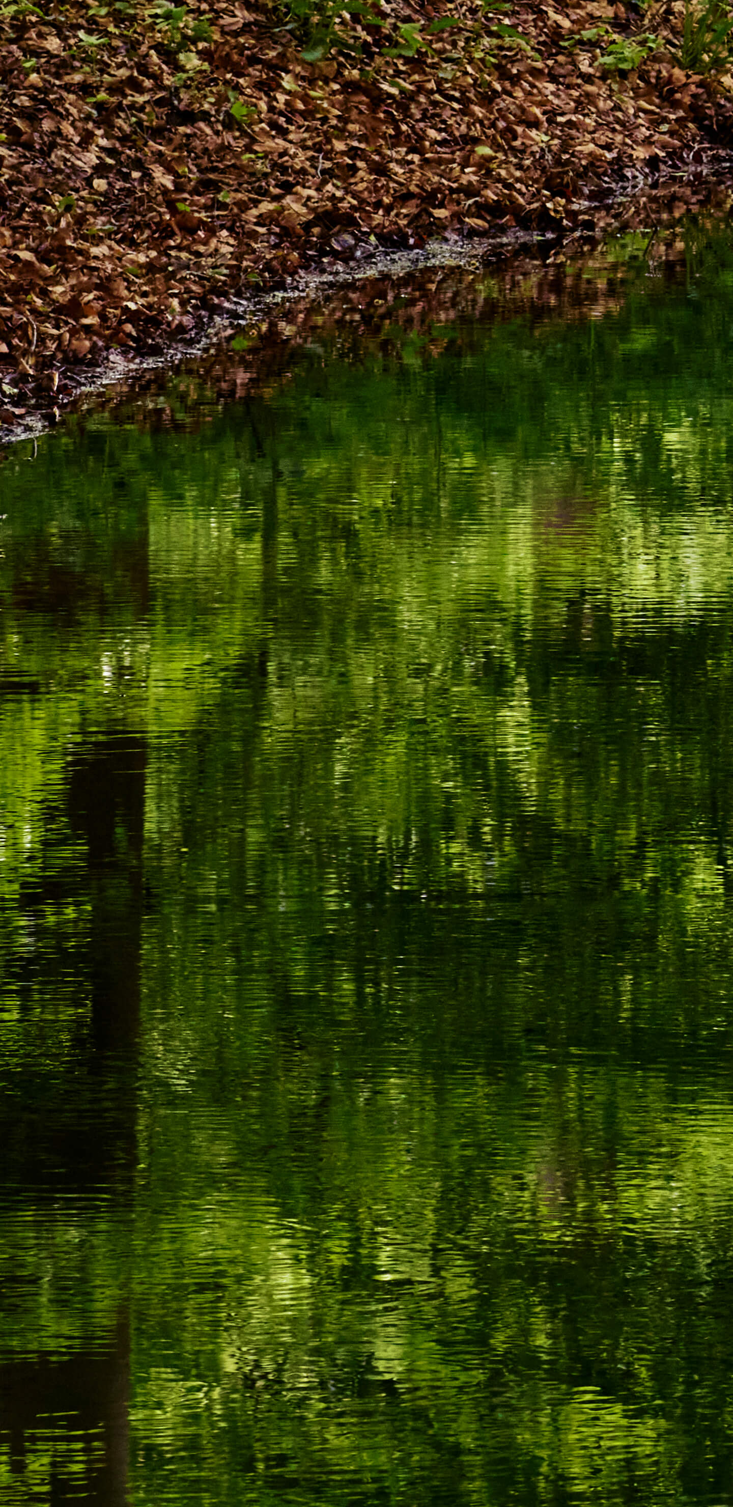 Detailed Image 1 Detailed Image 1