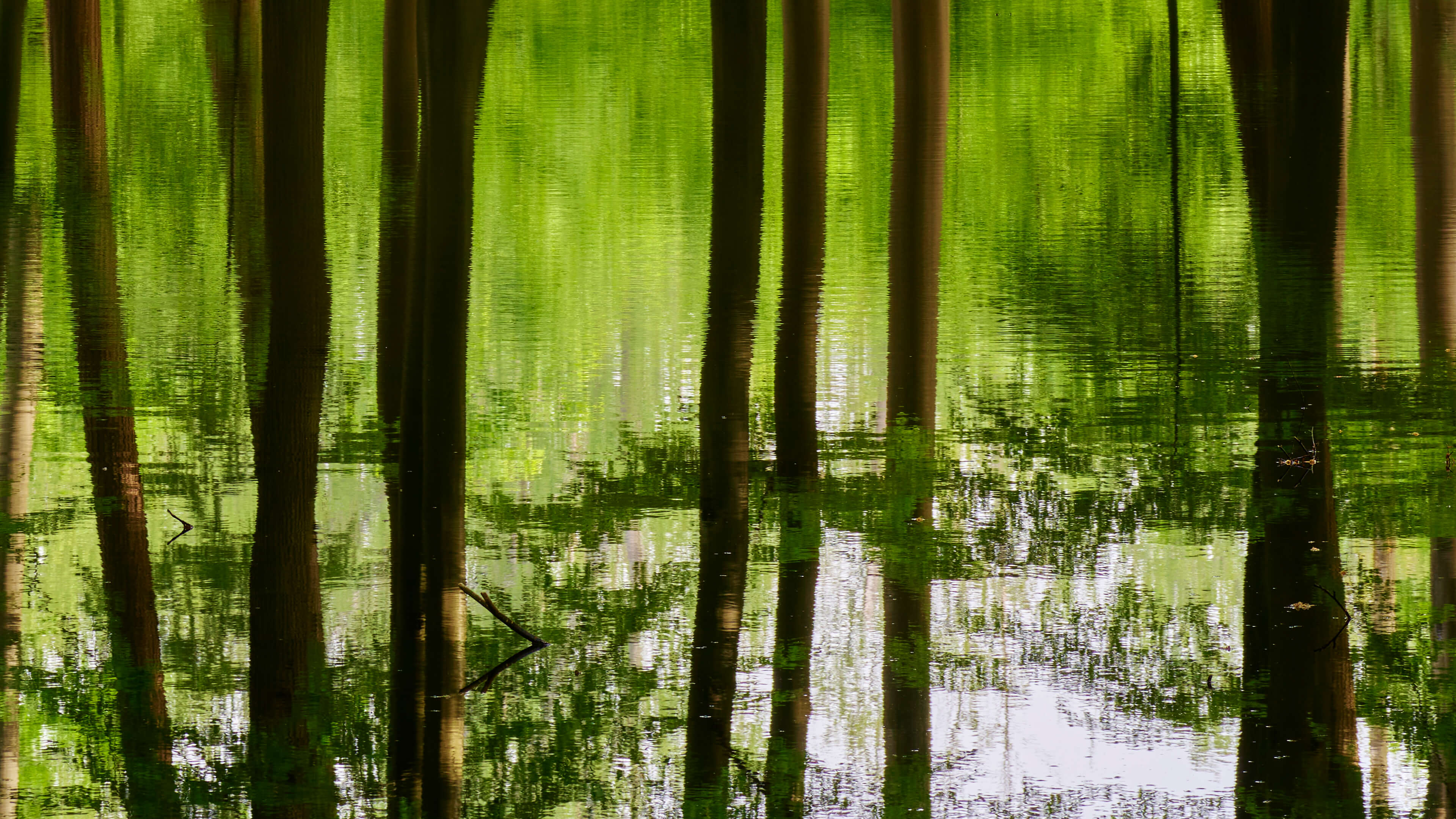 Detailed Image 2 Detailed Image 2