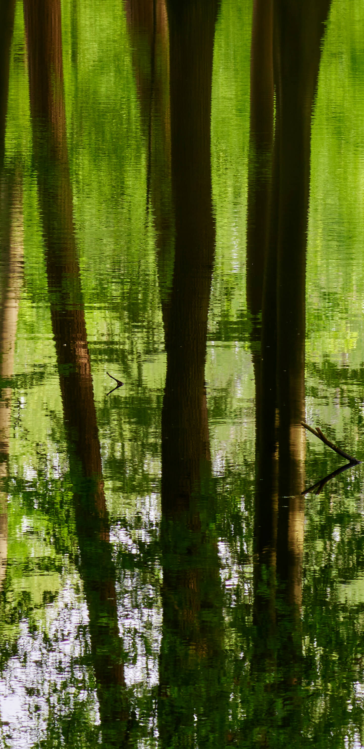 Detailed Image 1 Detailed Image 1