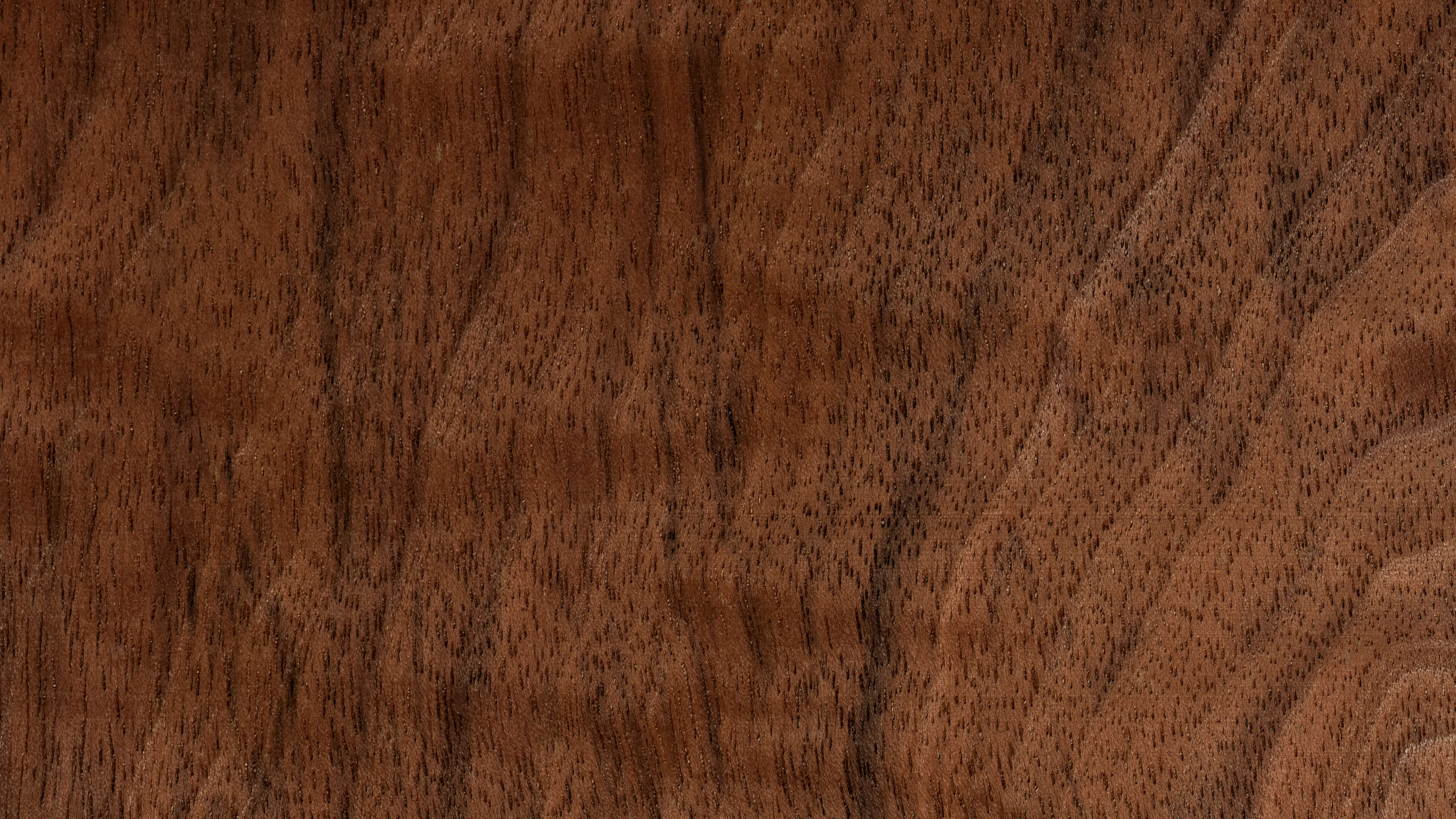 Detailed Image Detailed Image