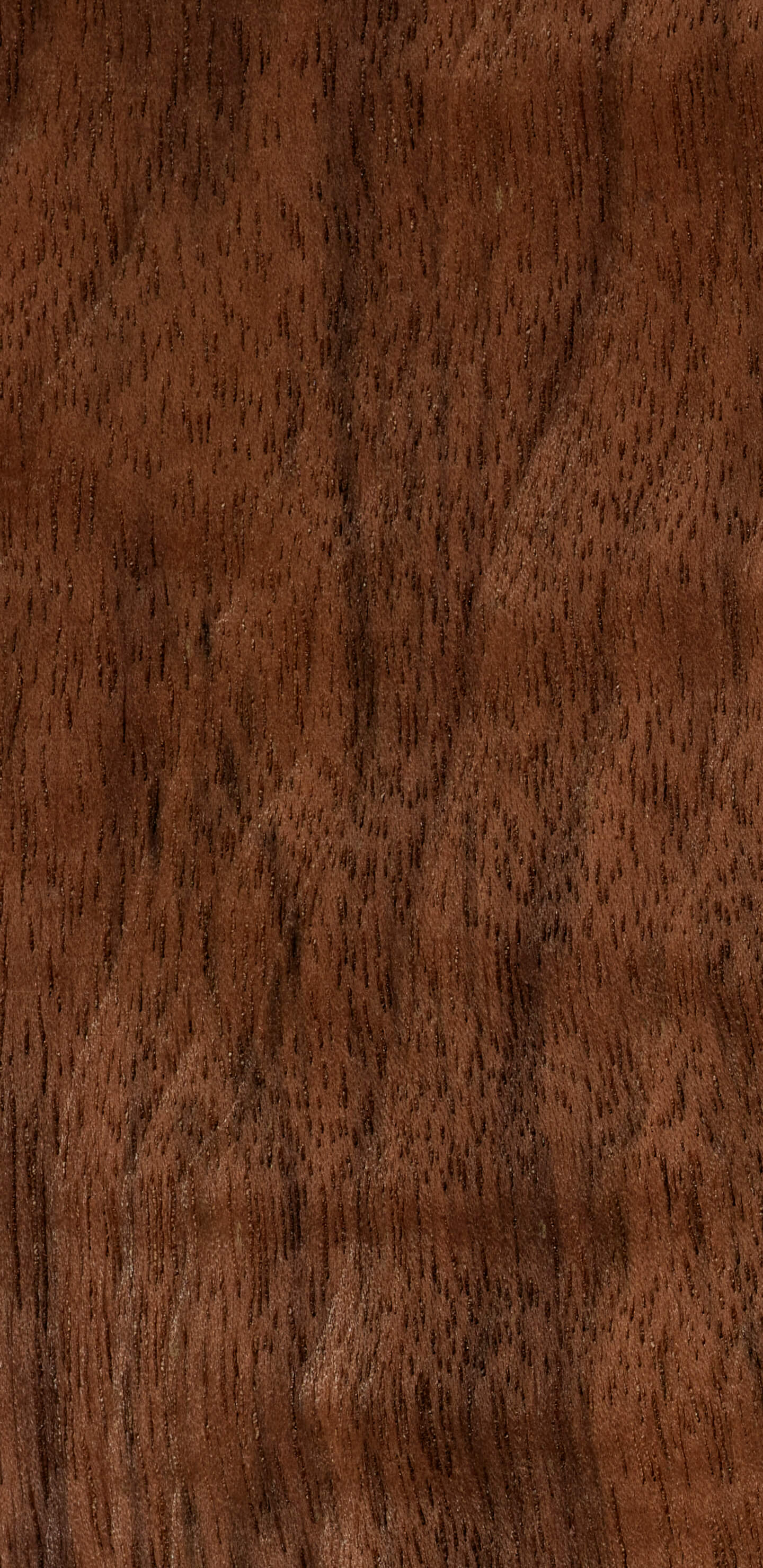 Detailed Image 1 Detailed Image 1