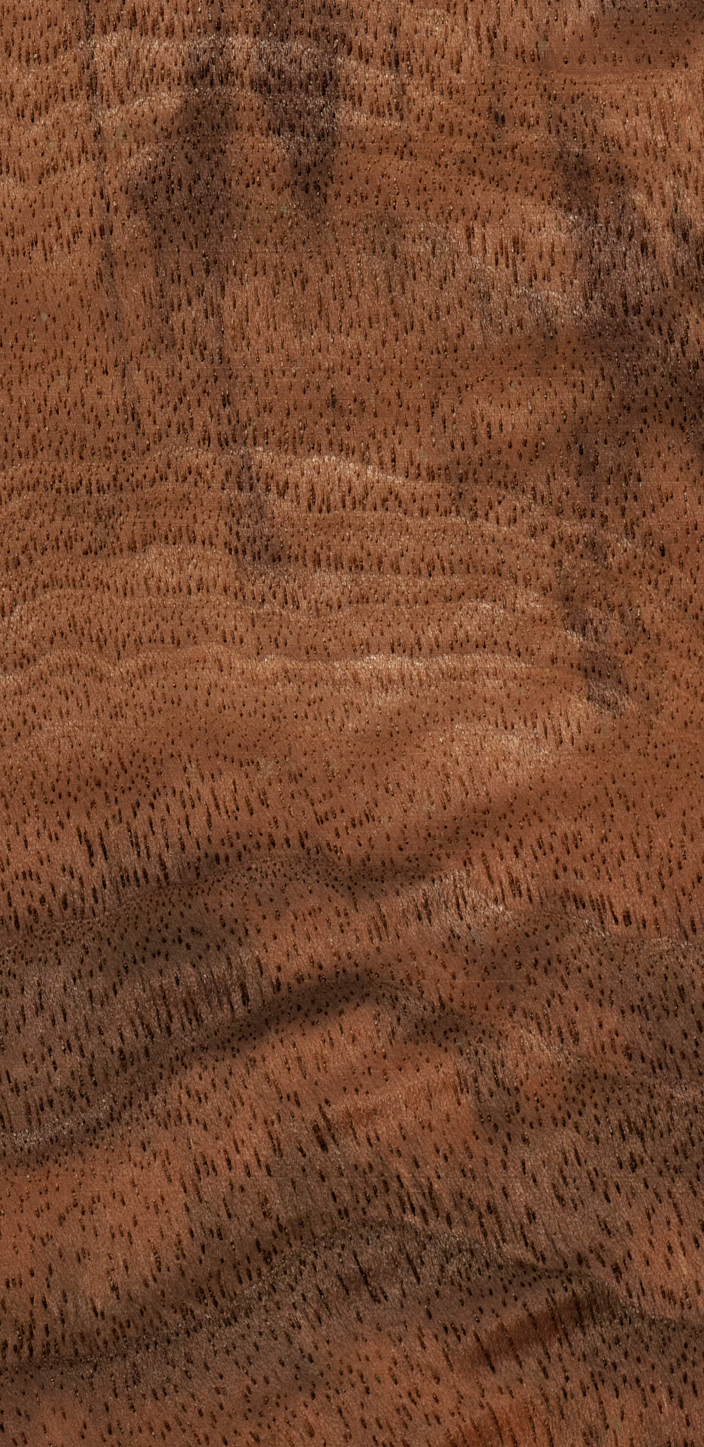 Detailed Image 2 Detailed Image 2