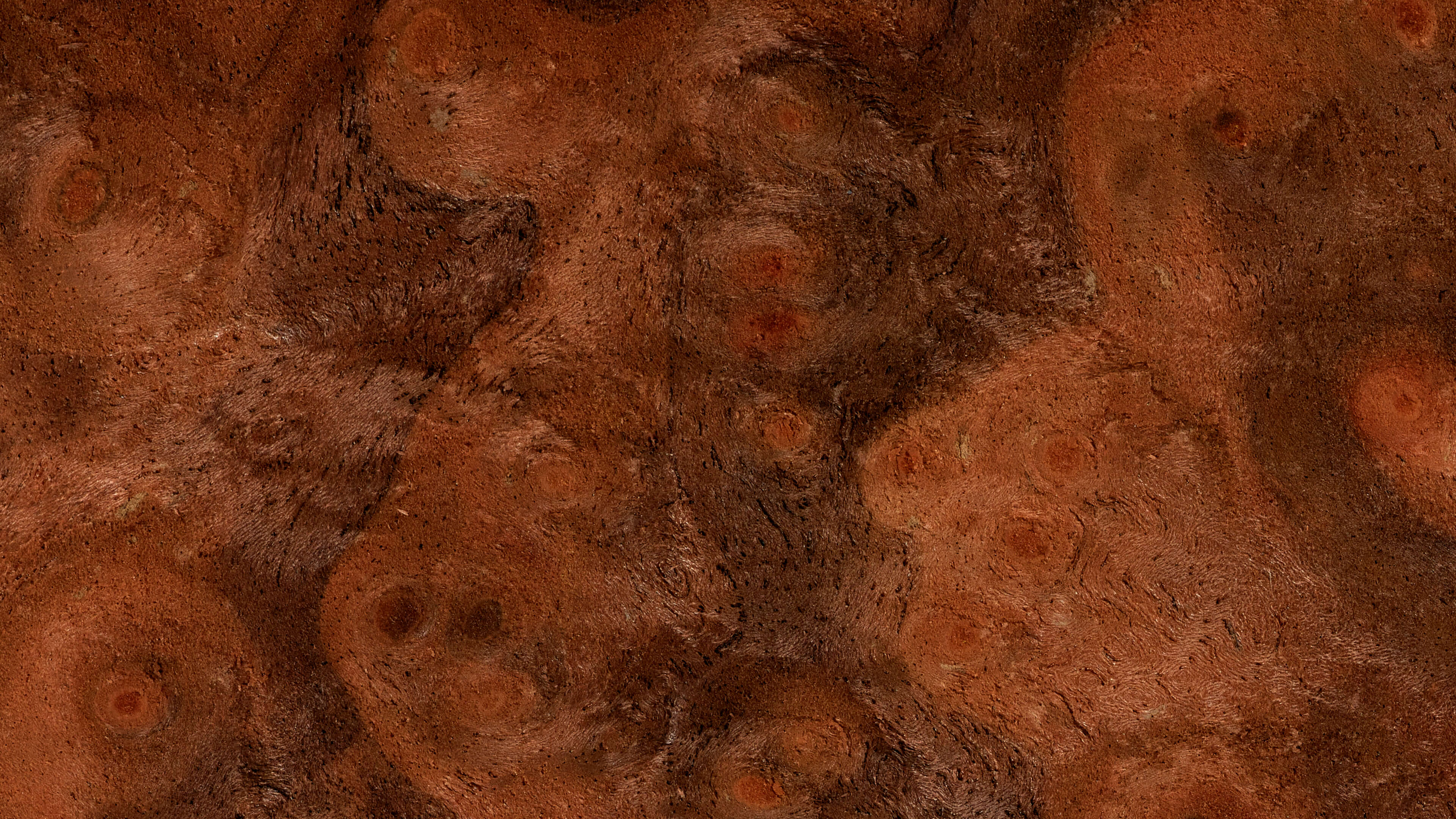 Detailed Image Detailed Image