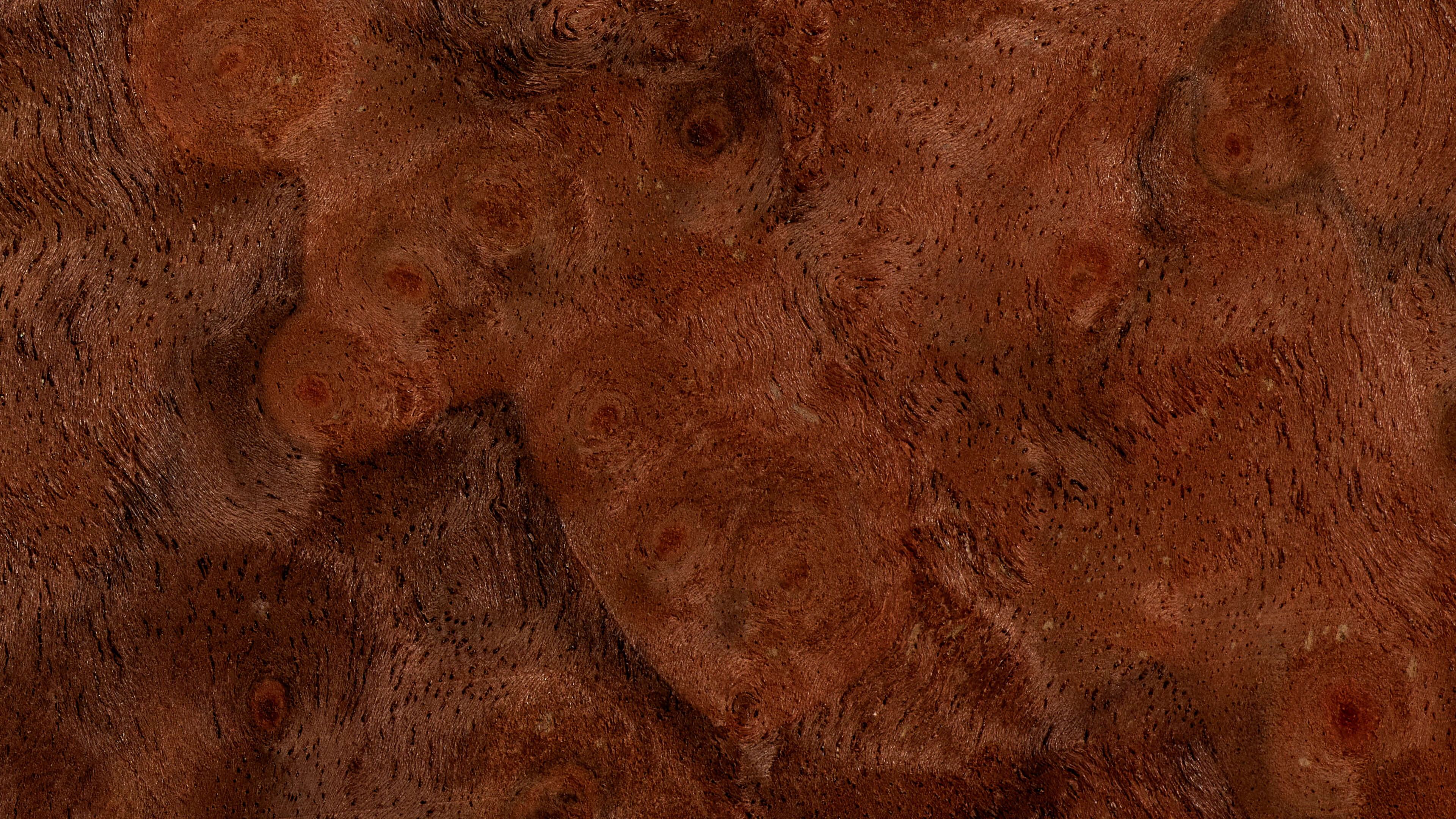 Detailed Image 2 Detailed Image 2