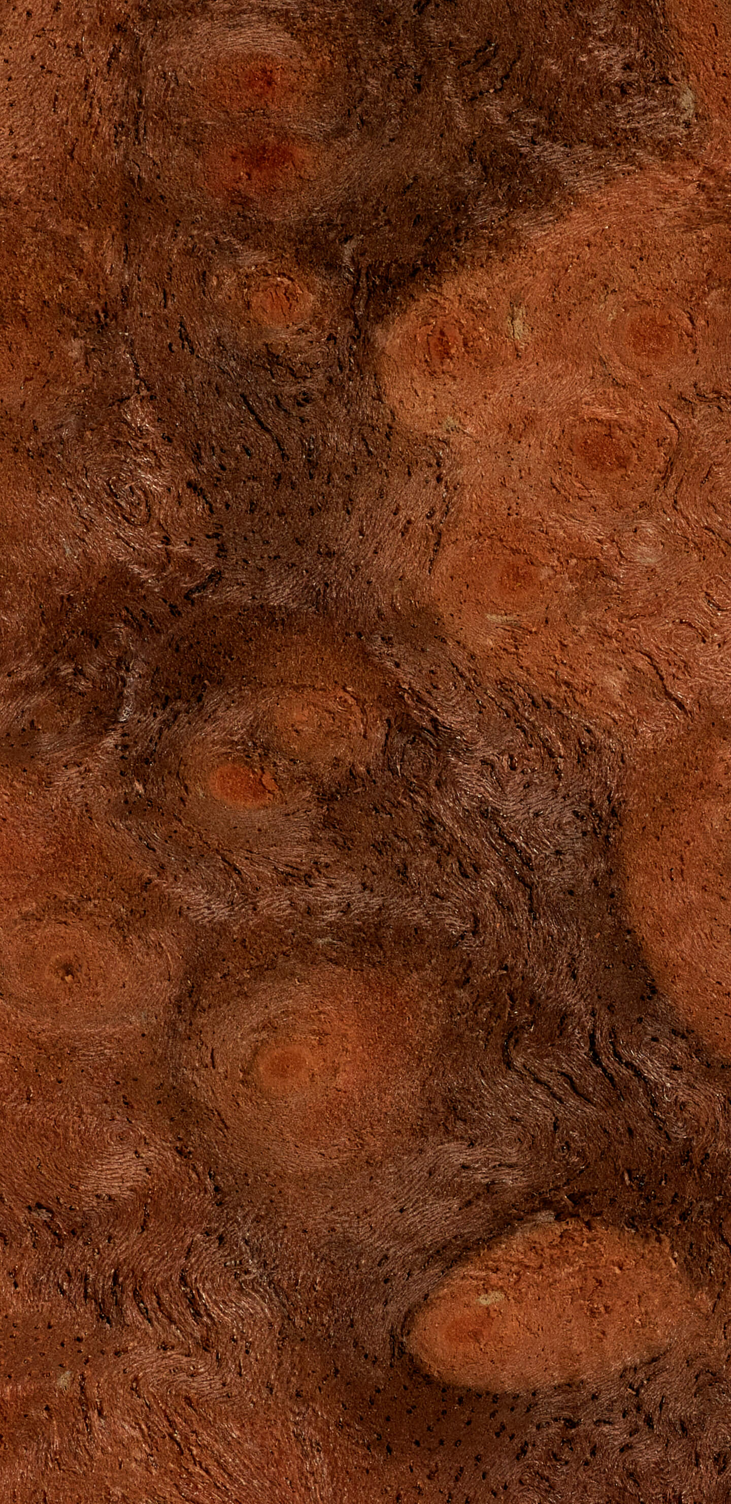 Detailed Image 1 Detailed Image 1
