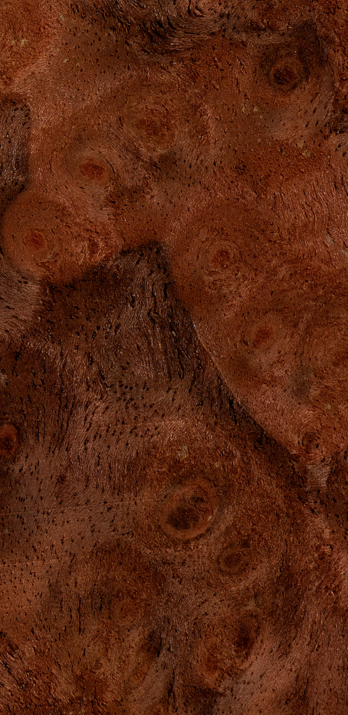 Detailed Image 2 Detailed Image 2