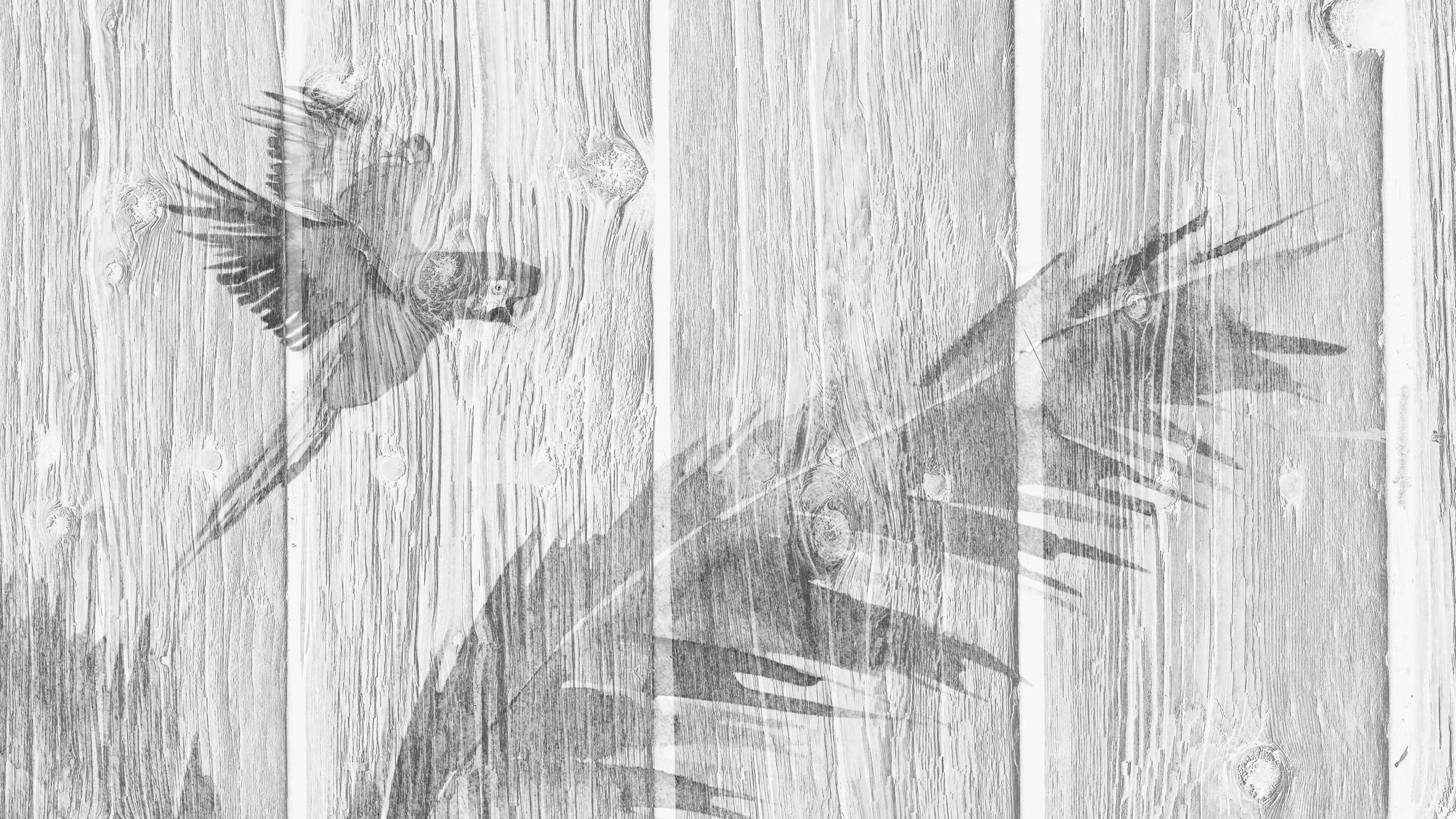 Detailed Image 2 Detailed Image 2