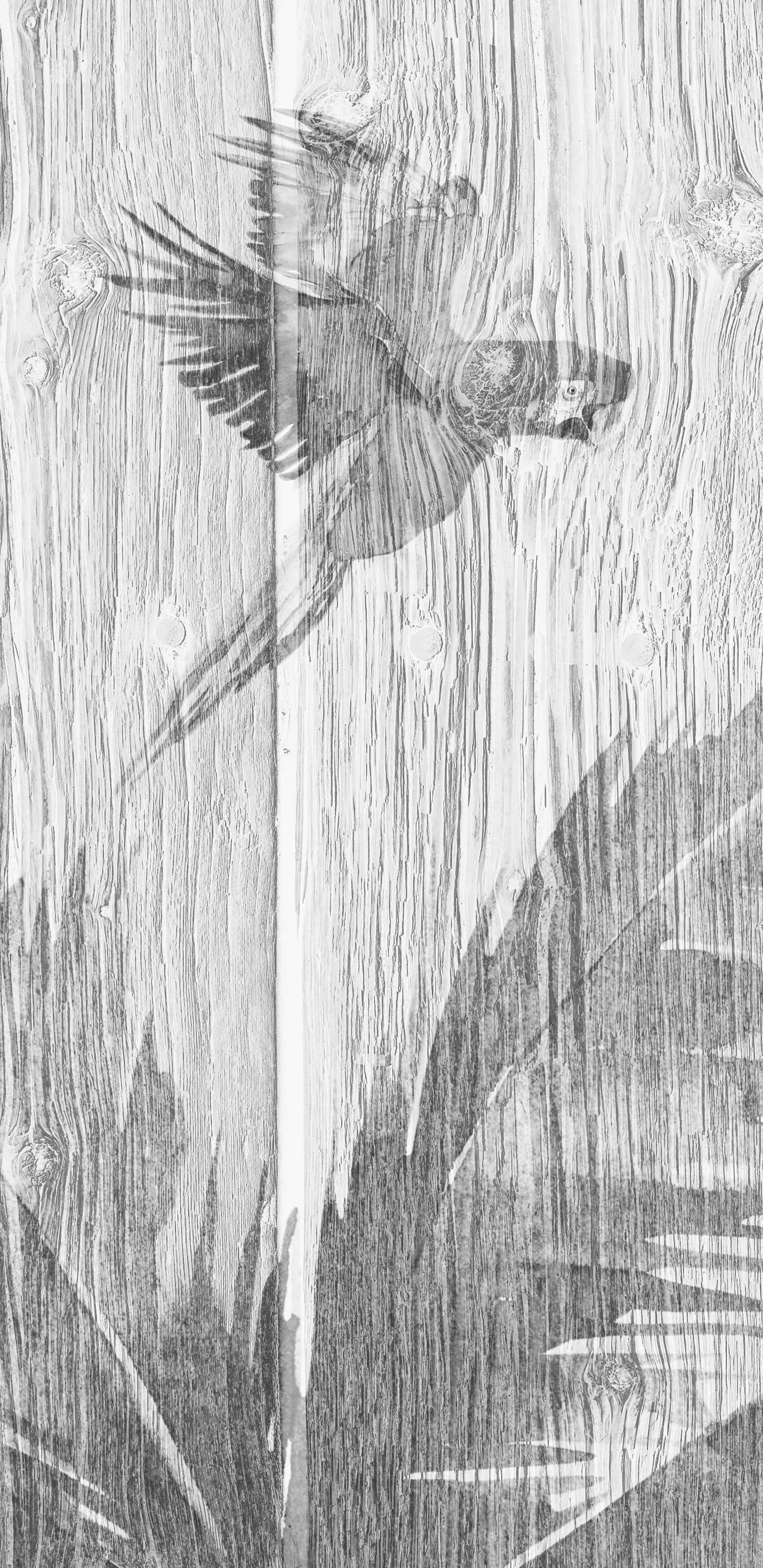 Detailed Image 2 Detailed Image 2