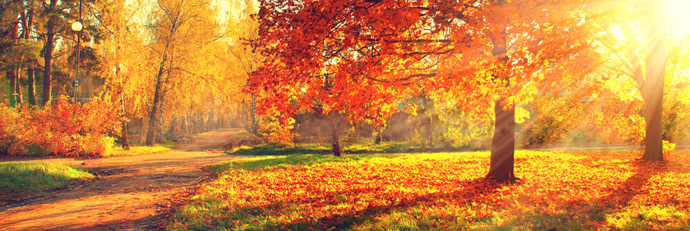 Herfst